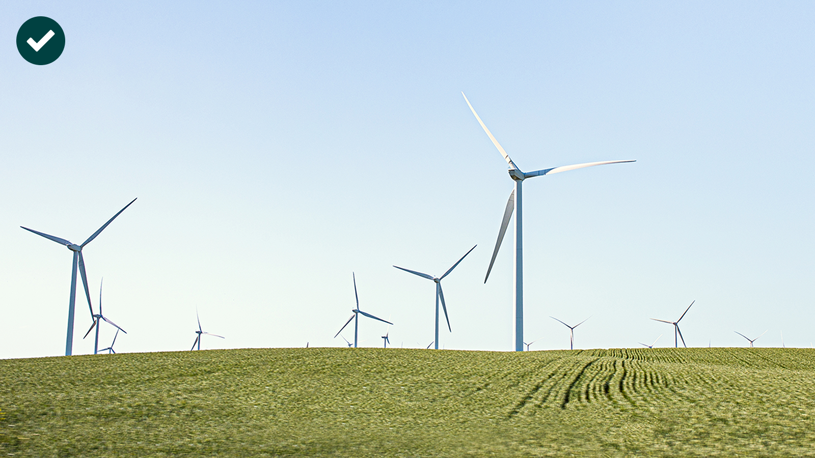 Eine grüne Landschaft mit mehreren Windkraftanlagen unter einem klaren blauen Himmel.